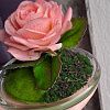 Изображение №6512