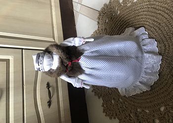 Изображение №