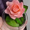 Изображение №6513