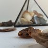 Изображение №6276
