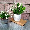Изображение №6599