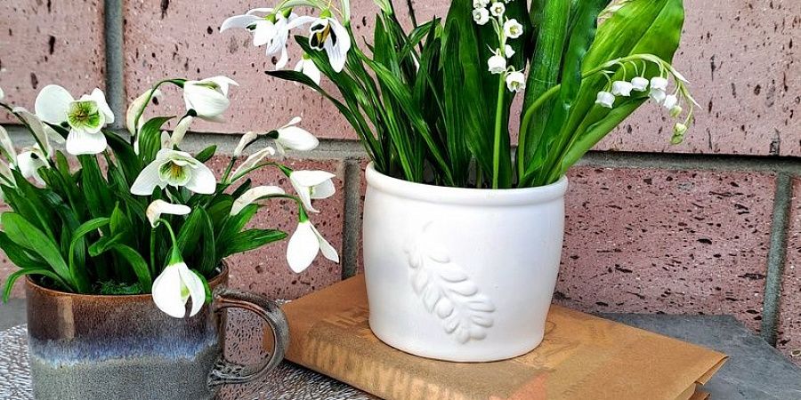 Изображение №6599