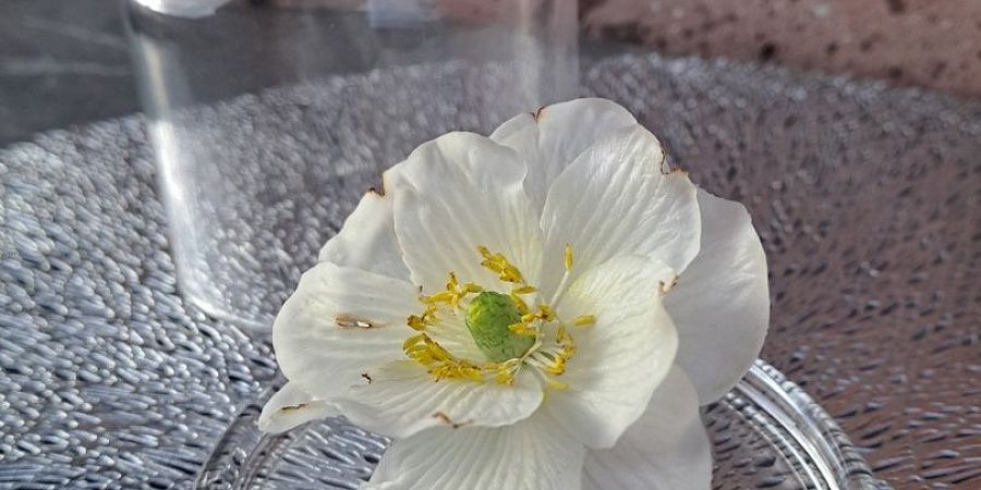 Изображение №6496