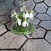 Изображение №6509