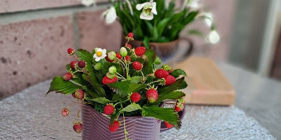 Изображение №6591