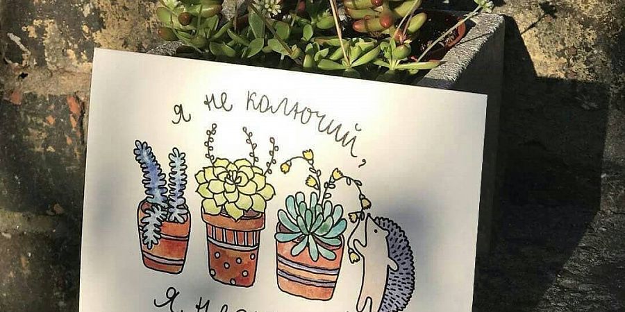 Изображение №544