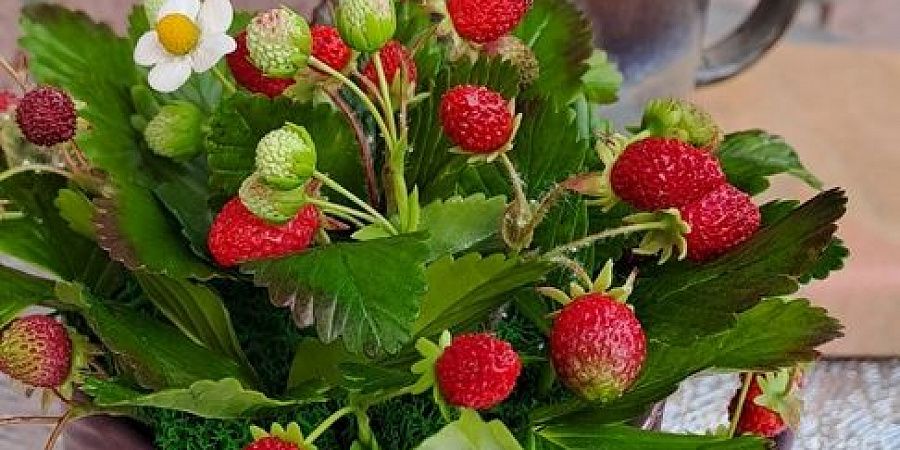 Изображение №6592