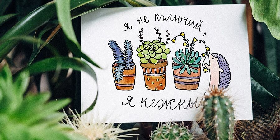 Изображение №5670