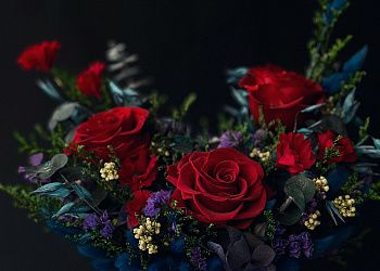 Изображение №