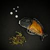 Изображение №5260