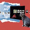 Изображение №5644