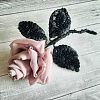 Изображение №5911