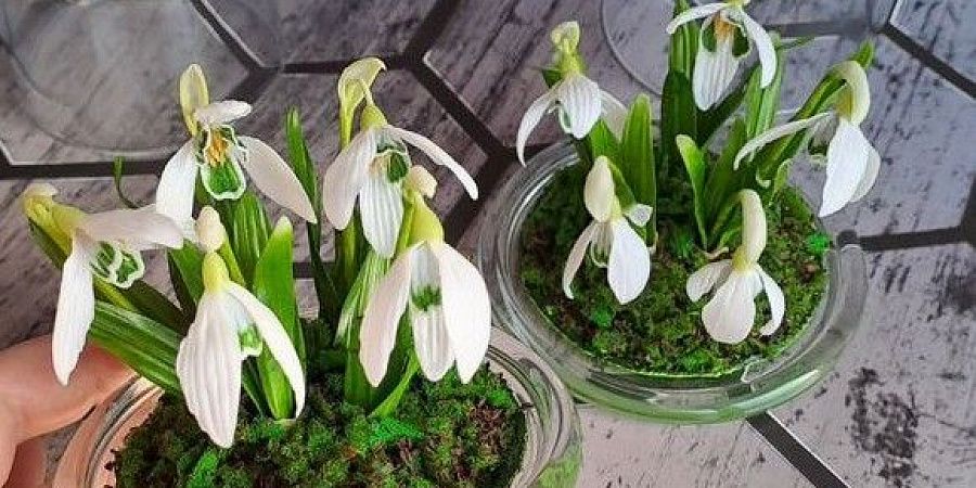 Изображение №6510