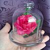 Изображение №6514