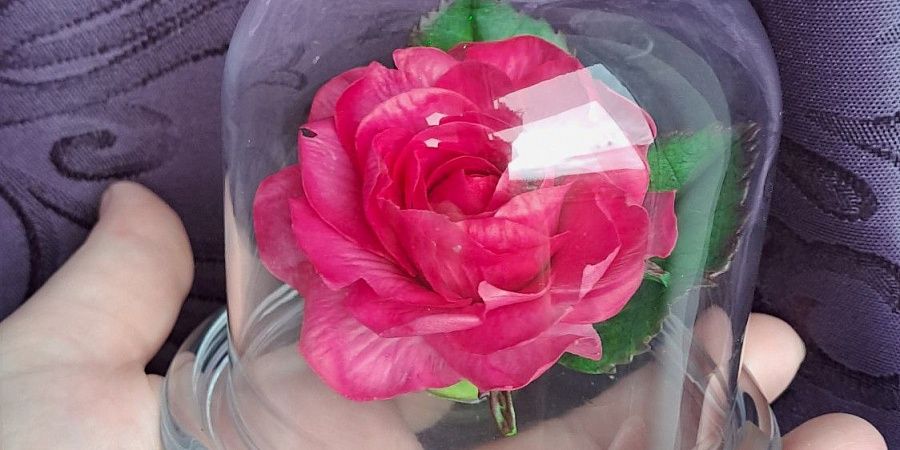 Изображение №6514